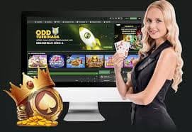 niowin login